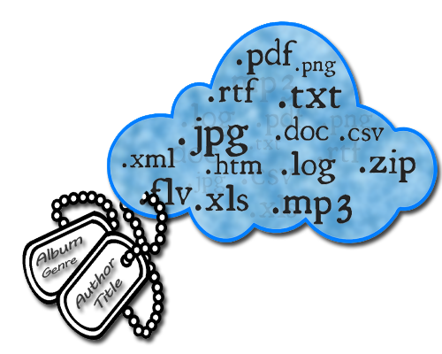 Data Tagging and MetaData Extension